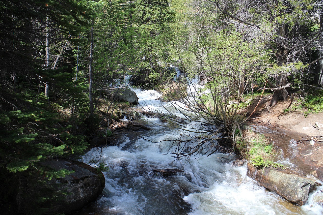 Rocky Mountain
