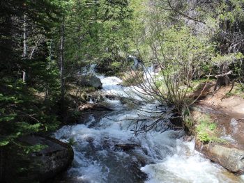 Rocky Mountain